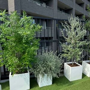 「MAKOTO OKUDOMI」フラワーアレンジメント空間演出プラン　ご利用チケット（30万円分）【197004】