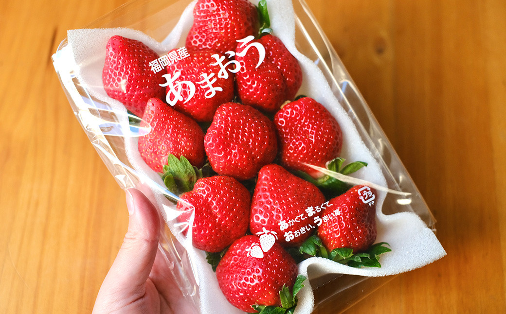 【先行受付】いちごの王様！ あまおうグランデサイズ 約270g×6パック 計約1620g