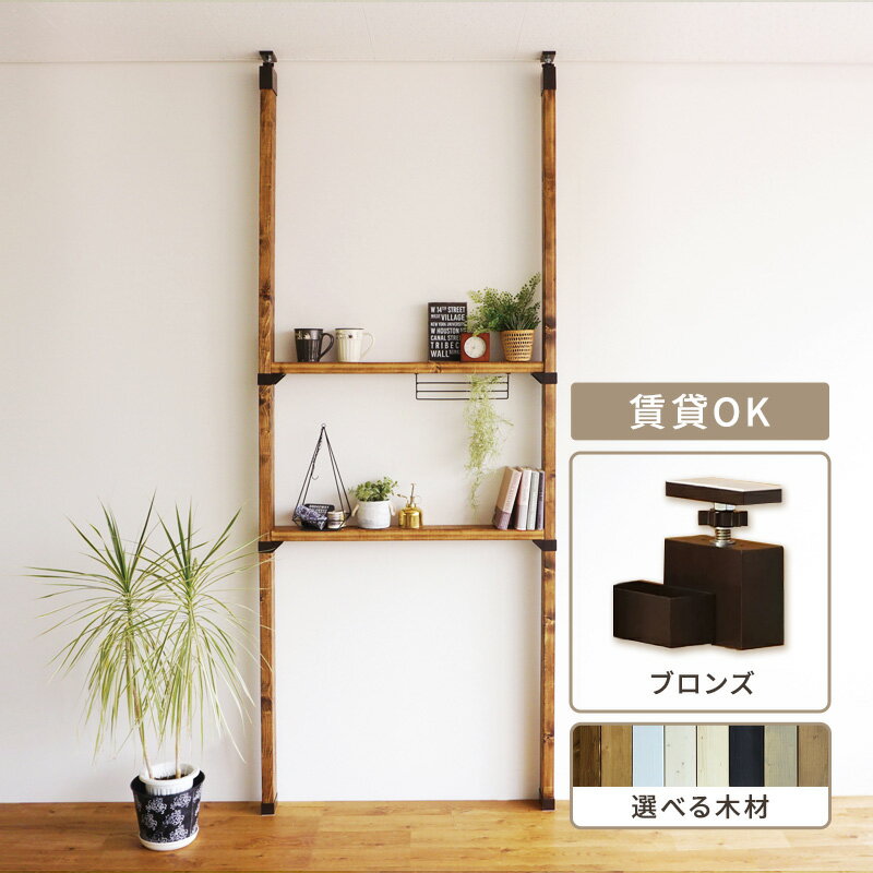 【ふるさと納税】インテリア LABRICO 棚 セット M アジャスター ブロンズ 平安伸銅工業 ツーバイ材 ツーバイフォー 棚板 棚受け 壁 壁面 壁面収納 家具 収納 DIY 突っ張り つっぱり棚 固定 賃貸 木 木材 平安伸銅 ラブリコ 兵庫 兵庫県 姫路 姫路市