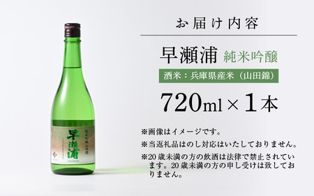 【早瀬浦】純米吟醸 山田錦 720ml × 1本【日本酒 地酒 福井 美浜 早瀬 フルーティ 男酒 硬水 ミネラル 希少 ご褒美 家飲み】[m16-a004]