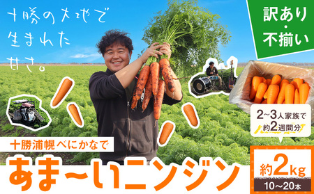 北海道産 訳あり ニンジン べにかなで 2kg 10-20本 十勝 人参 野菜 浦幌