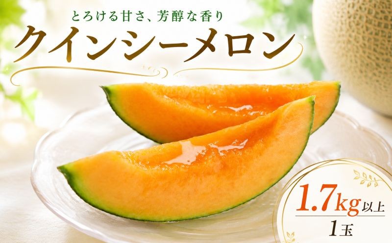 
                  【2027年発送】 特大 メロン 1玉 1.7kg以上 クインシーメロン 茨城 果物 くだもの フルーツ 果実 赤肉 赤肉メロン 1個 国産 めろん meron melon 旬 デザート 産地直送 農家直送 数量限定 期間限定 お取り寄せ 贈答用 プレゼント ギフト 贈り物 高級 ふるさと納税メロン 茨城県 鉾田市 ほこたメロン カミナリ 山一ファーム
                