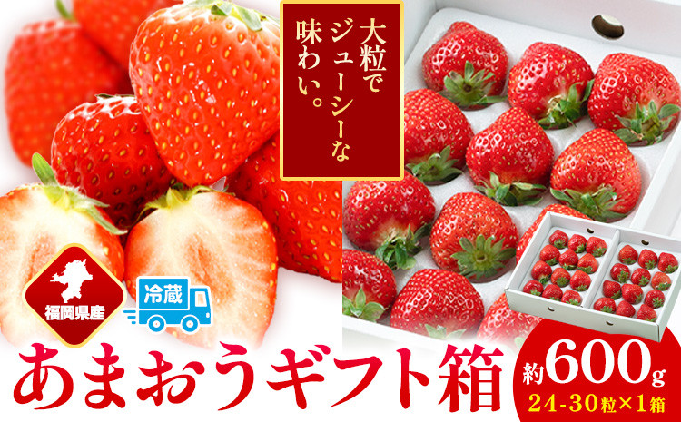 
            福岡県産 あまおう ギフト箱 約600g 南国フルーツ株式会社《12月上旬-3月末頃出荷》福岡県 鞍手町 あまおう いちご イチゴ 送料無料【配送不可地域あり】
          