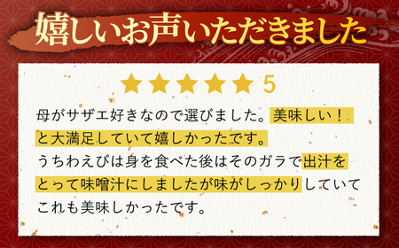 【6回定期便】平戸フィーバーの火付け役平戸瀬戸物語【平戸さくら水産】[KAA286]/ 長崎 平戸 魚介類 海老 えび エビ ウチワエビ サザエ ヒオウギ 貝 カキ 牡蠣 定期便