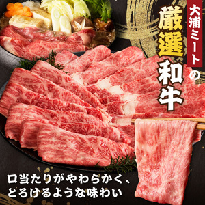大浦和牛すきやき・しゃぶセット(1kg)【2405A00207】