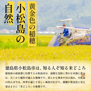 ＼ 新米 ／ 5kg 9月から順次発送 にじのきらめき 令和7年度産 コシヒカリ に匹敵 白米 ご飯 