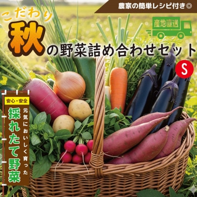 【こだわり秋の野菜詰め合わせセット】Sサイズ　栽培期間中農薬・化学肥料・除草剤不使用の旬野菜【配送不可地域：離島】【1679692】