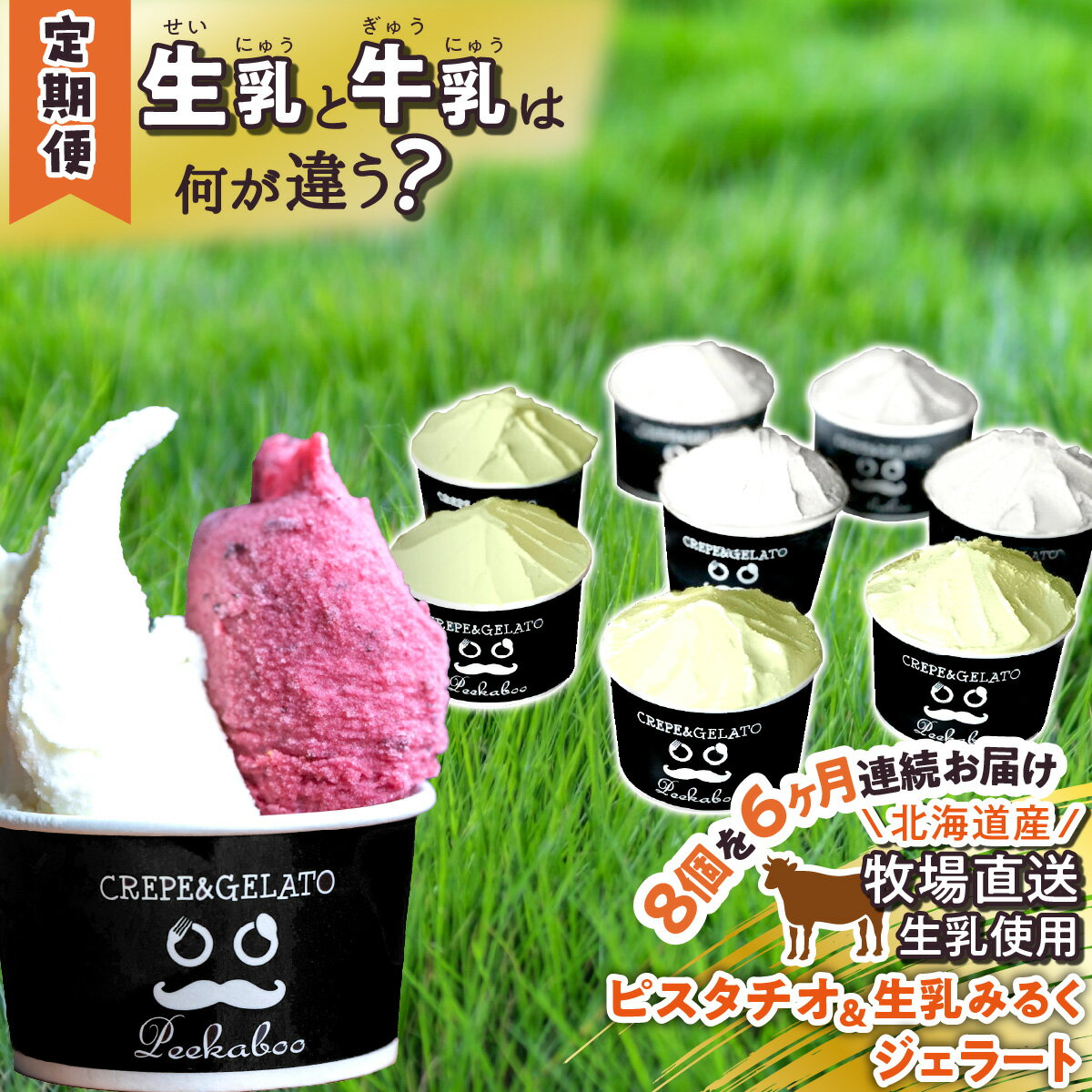 【ふるさと納税】 ＜6ヶ月定期便＞ アイス ジェラート 毎月 8個 ピスタチオ ＆ 生乳ミルク 各 4個 北海道産 生乳 ジェラートセット スイーツ ミルク カップアイス カップ 詰め合わせ 冷凍 北海道 新ひだか町