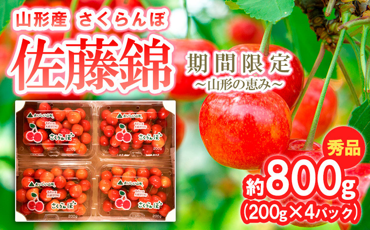 
            さくらんぼ【佐藤錦】約800g (200g×4パック) 期間限定～山形の恵み～ 【令和7年産先行予約】FS24-527くだもの 果物 フルーツ 山形 山形県 山形市 2025年産
          