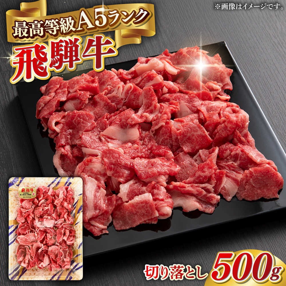 【ふるさと納税】【選べる発送月】A5等級 飛騨牛 切り落とし 500g ブランド牛 最高級 A5ランク 岐阜市 / 三心[ANGY011]