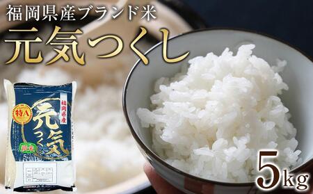 【先行予約】＜令和7年産＞福岡県産ブランド米「元気つくし」白米5kg ＜筑前町＞