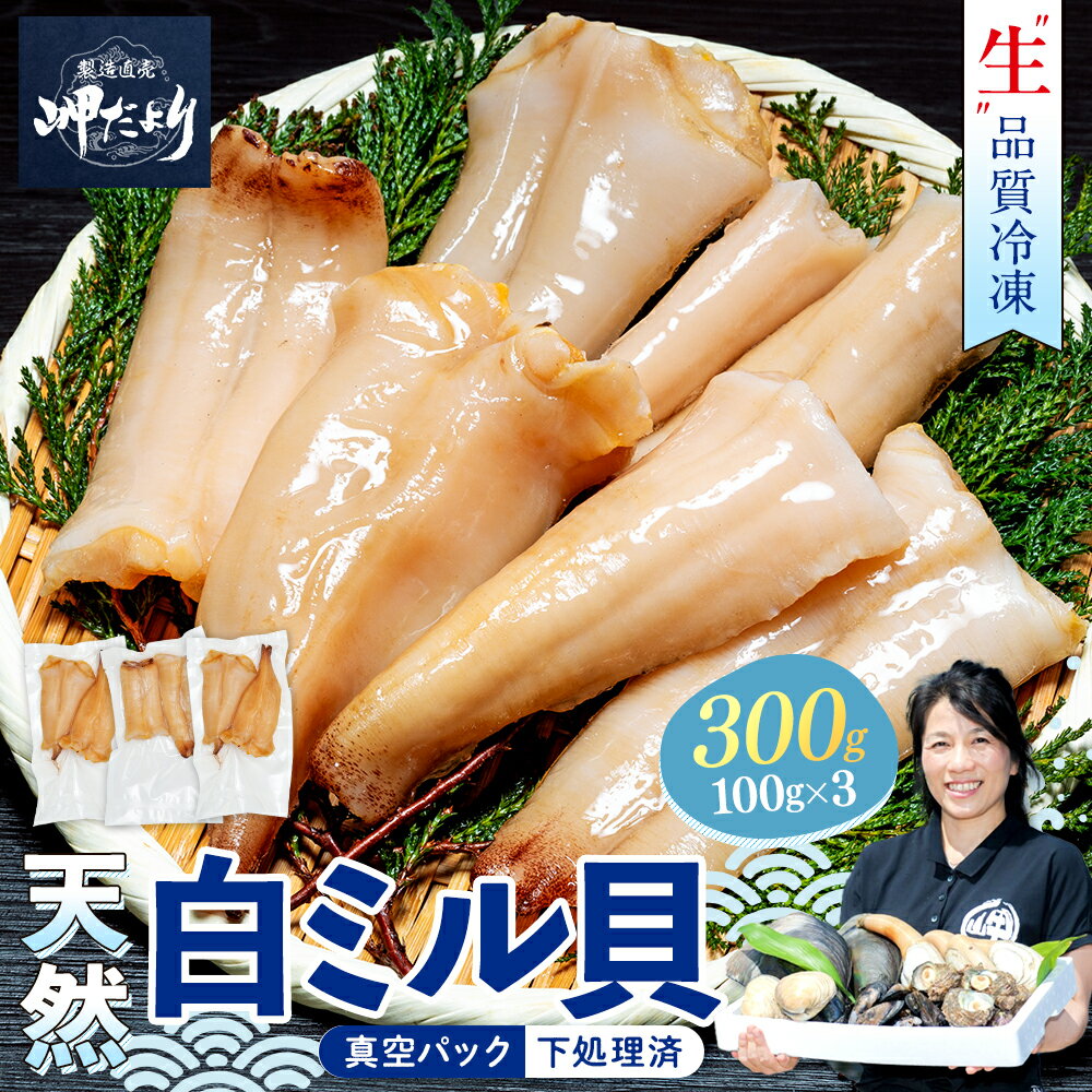【ふるさと納税】 【獲れたての美味しさ!】 天然 白ミル貝 100g × 3袋 下処理済み 冷凍 岬だより 貝専門店 白みる貝 新鮮 海鮮 風味 魚介 貝 海の幸 おかず お刺身 寿司 バター焼き ご飯 おつまみ 酒 おすすめ 人気 魚貝類 簡単 便利 お手軽 おかず 酒の肴 ご飯のお供