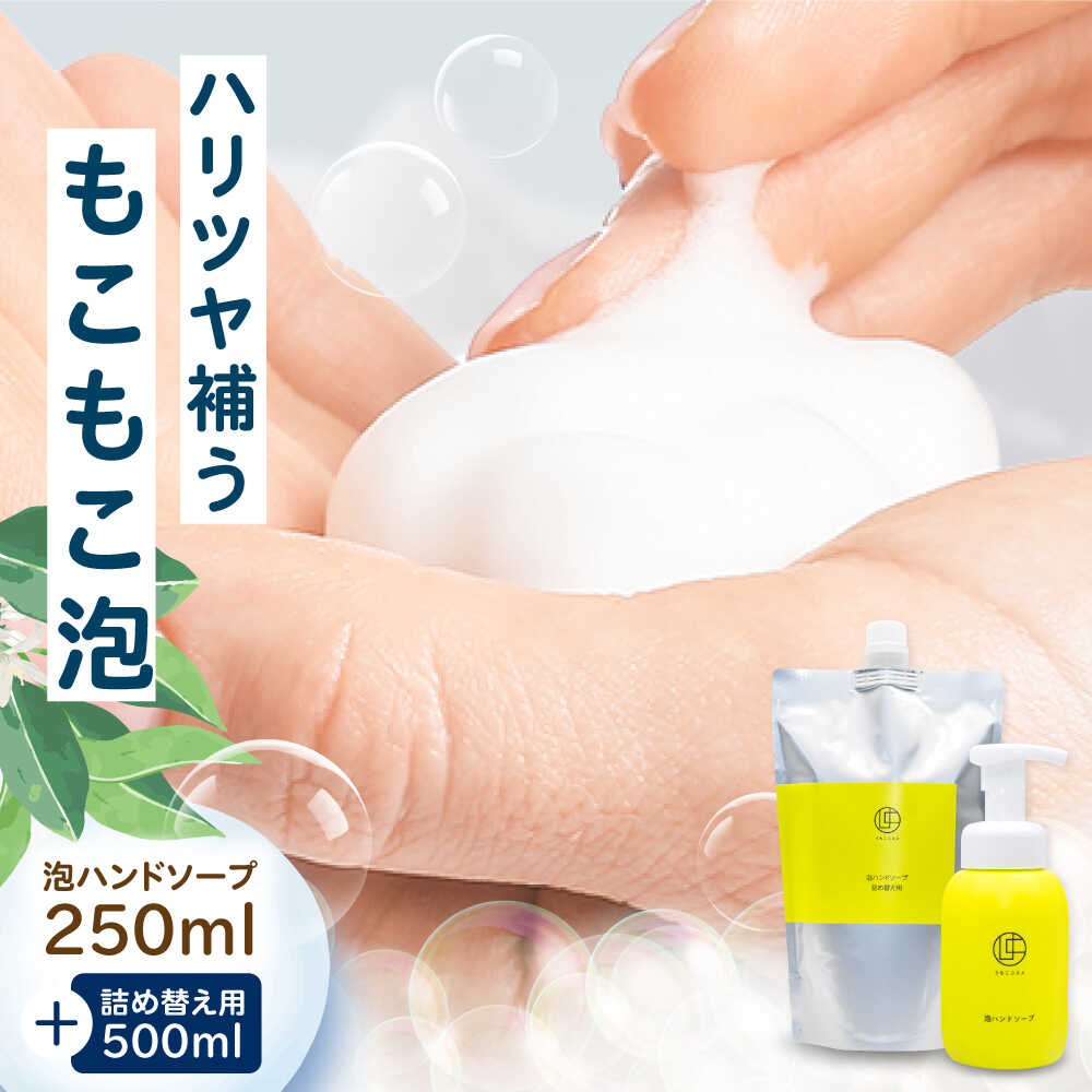 【ふるさと納税】うちこコスメ 泡ハンドソープ 250ml＆詰め替え用500mlセット ／ スキンケア 洗浄 化粧品 コスメ 美容 日用品 ハンドソープ はんどそーぷ 手洗い 泡ハンドソープ 愛媛県 内子町 送料無料 贈答 贈り物 【昭和刷子株式会社】[BKAZ002] 10000 10000円 1万 1万円