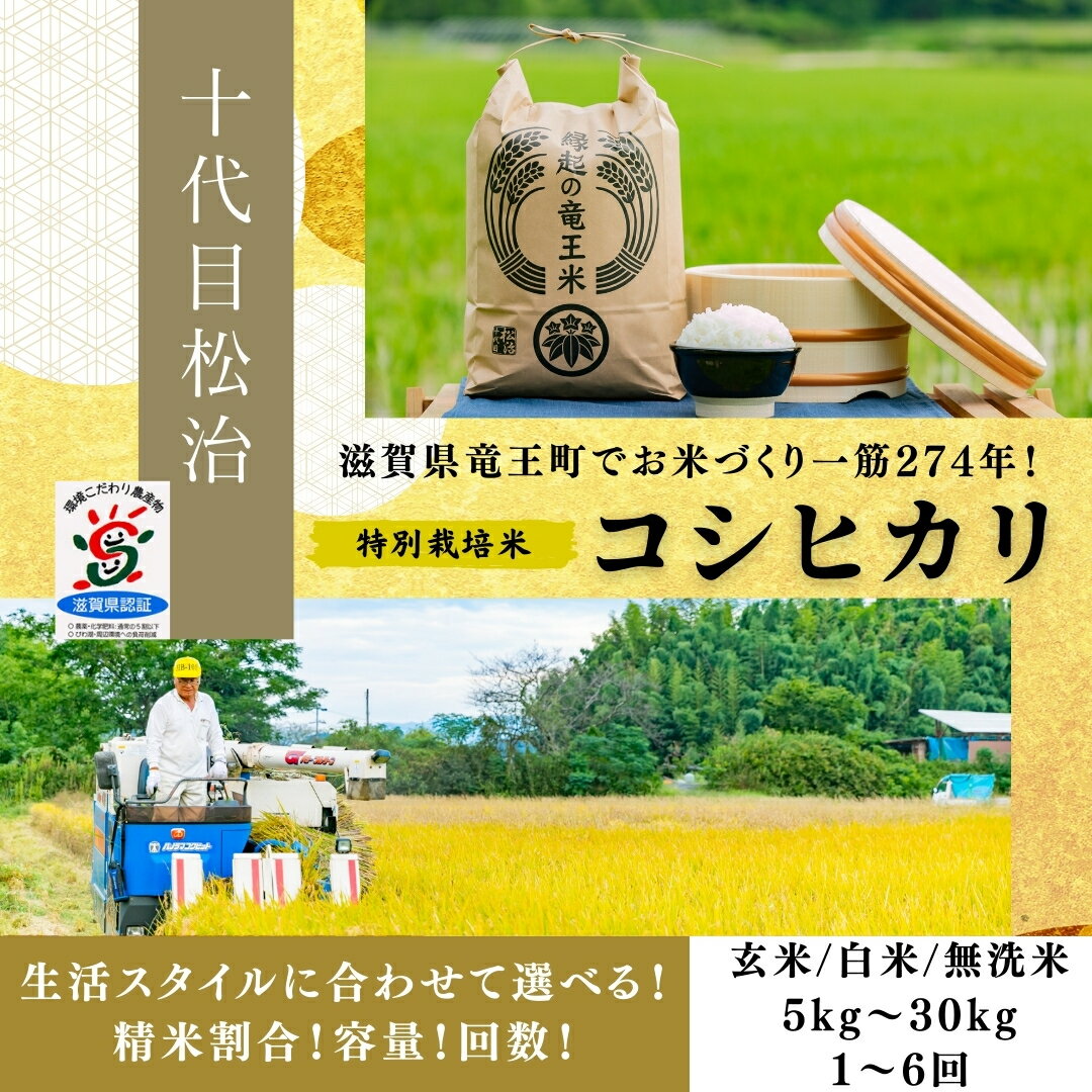 【ふるさと納税】 新米予約 令和7年産 米 コシヒカリ 選べる 【定期便】【精米具合】 5kg 定期便 3ヶ月 白米 無洗米 特別栽培米 環境こだわり ブランド米 精米 お米 こめ おこめ 滋賀県 竜王町 )