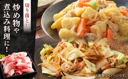 【12回定期便】肥前有明豚 2種 切り落とし・粗挽きミンチセット 総計36㎏【くすのきファーム】[NAS103]