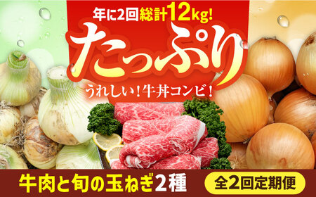 【2回定期便】牛丼コンビ！牛肉と玉ねぎの定期便 / 切り落とし 玉葱 新玉 早生 晩生 牛丼 すき焼き [IZZ031]