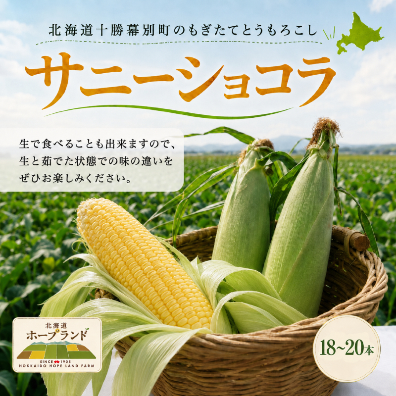 ［先行予約/2029年］もぎたてとうもろこし黄18～20本 [北海道ホープランド農場]【 とうきび トウモロコシ とうもろこし 野菜 夏野菜 フルーツ 北海道 十勝 幕別 】 