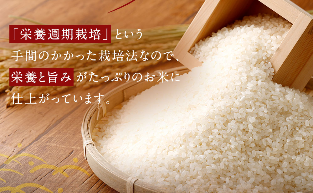 幸田町産「栄養週期栽培米」あいちのかおり 10kg 白米 精米 お米 米 ご飯_イメージ3