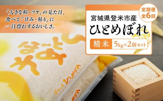 
令和5年産【定期便／全6回】宮城県登米市産ひとめぼれ精米　５kg×２個セット
