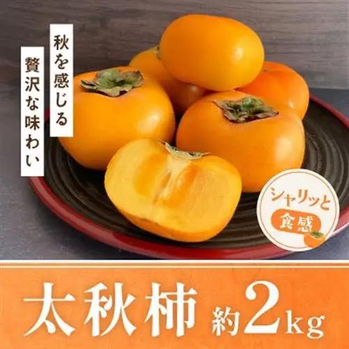 熊本県益城町産 太秋柿 約2kg入り(益城町)【配送不可地域：離島】【1713793】