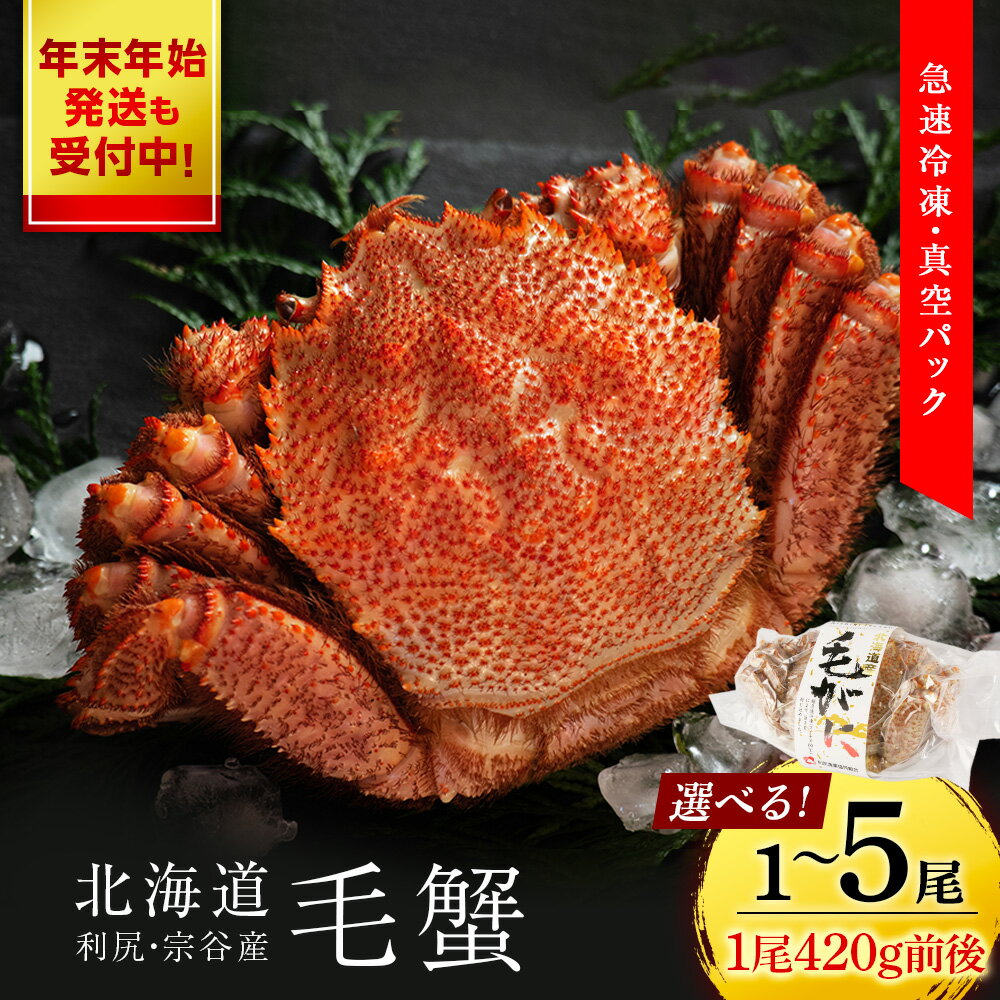 【ふるさと納税】 北海道 利尻・宗谷産毛ガニ 小小サイズ（420g前後） 選べる1尾〜5尾＜利尻漁業協同組合＞北海道ふるさと納税 利尻富士町 ふるさと納税 北海道 海鮮 北海道 カニ 蟹 毛ガニ 毛蟹 蟹みそ 濃厚 蟹棒 蟹甲羅