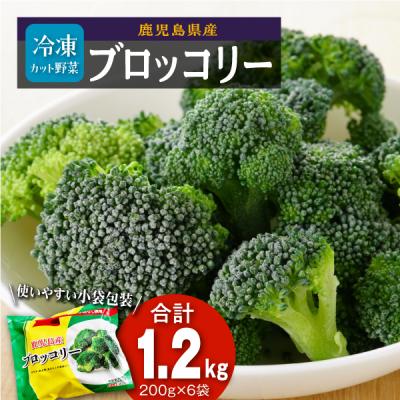 ふるさと納税 大崎町 鹿児島県産　冷凍ブロッコリー