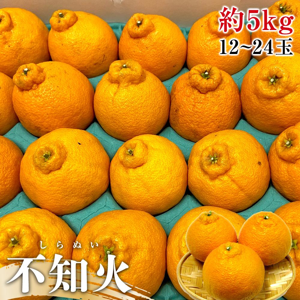【ふるさと納税】【2月下旬頃～発送】不知火 (しらぬひ) 約5kg | しらぬい 不知火 くだもの 果物 フルーツ 柑橘 みかん スイーツ 特産品 デザート 旬 期間限定