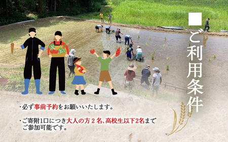 W03508 季節をぐるり　里山の無農薬•無肥料栽培田畑の農作業体験　里山の季節の軽食つき ふるさと納税 農作業 農作物 体験 田んぼ 自然 自然体験 年3回 千葉県 大多喜町