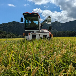 1804.令和7年産　こしひかり　5kg