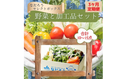 
【3ヶ月定期便】野菜と加工品「なだろう」セレクトボックス
