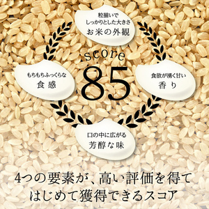 【6回定期】特別栽培米 コシヒカリ ヒロシノキモチ 玄米 10kg 総計60kg 陽咲玲 米 お米 コメ ご飯 ごはん 富山県産 富山県 立山町 F6T-1006