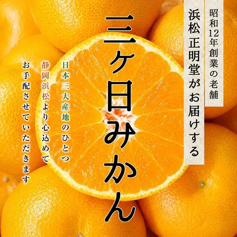 みかん 早生 Mサイズ3kg ミカン 果物 くだもの みかん