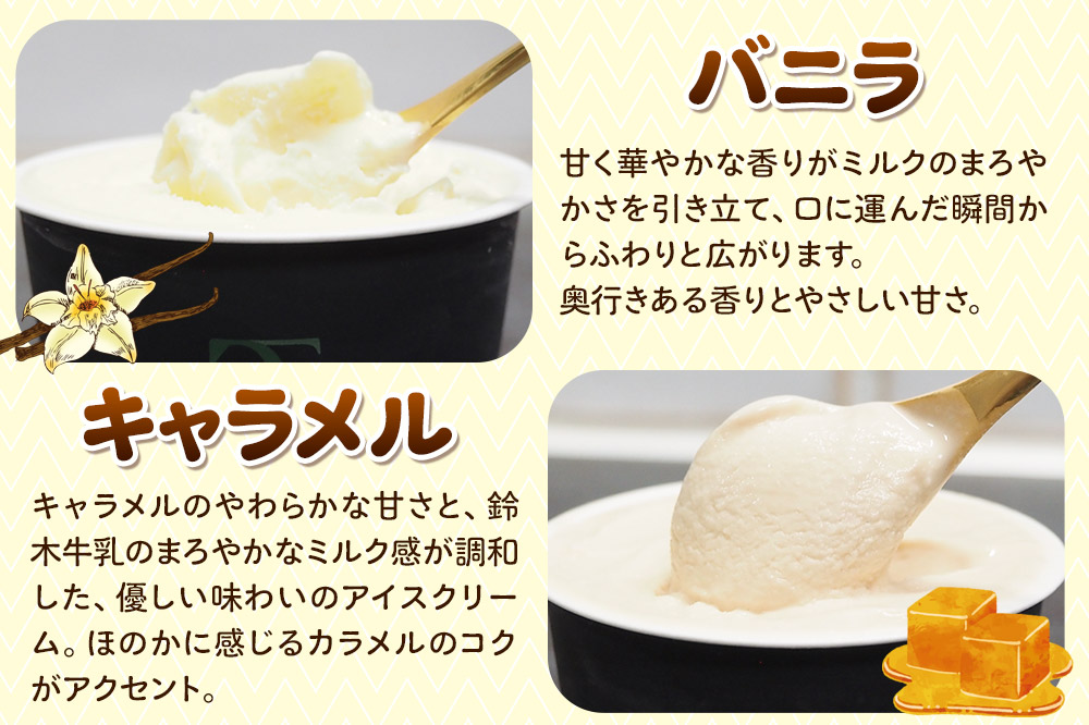 秋田市産 鈴木牛乳の低温殺菌牛乳を使用したアイスクリーム 10個（5種×各2個）