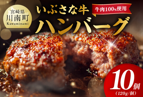 いぶさな牛ハンバーグ 10個 【 宮崎県産 牛 ハンバーグ 黒毛和牛 】[D05301]
