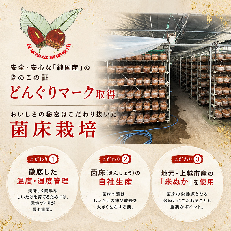 【先行予約 11月中旬発送】新潟県上越市産 肉厚 生しいたけ