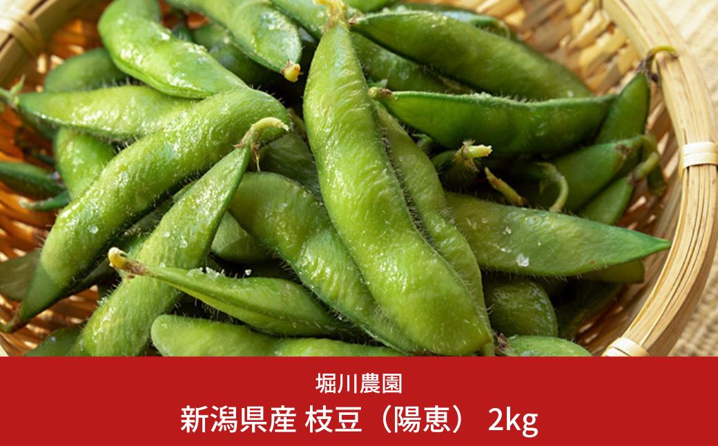 
            【先行予約】新潟県産 枝豆 2kg [2026年発送分]令和8年産 朝採りをお届け 枝豆（陽恵） [堀川農園]【020S016】
          