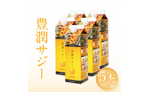 豊潤サジー 1000ml×5本セット サジージュース【紙パックタイプ】_M327-005