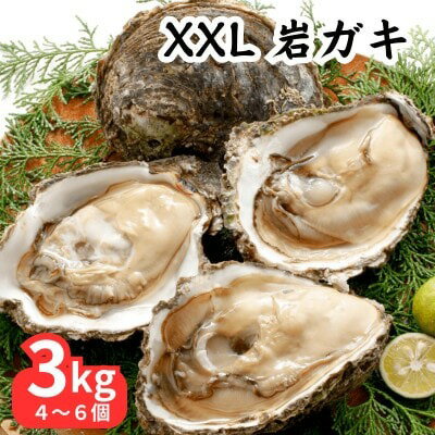 【ふるさと納税】 XXLサイズ!天然岩牡蠣3kg(4～6個・特上・殻付き生食用)CAS冷凍カキ 海鮮バーベキューに!