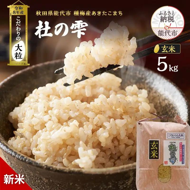 【先行予約】令和8年産 玄米 大粒 あきたこまち 秋田県産 杜の雫 玄米【5kg】