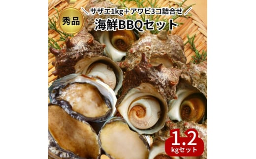 秀品 サザエ 1kg 蝦夷 アワビ 3個 海鮮 BBQ セット 贅沢 詰め合わせ 冷凍 生食可能 新鮮 詰合せ サザエ 海鮮バーベキュー サザエ アワビ 冷凍 貝 アワビ 海鮮 魚貝 バーベキュー BBQ  天然 刺身  高級 厳選 鮑  肝 焼き 刺し身 ふるさと納税貝 貝刺し身 ふるさと納税刺し身 サザエ アワビ ふるさと納税サザエ ふるさと納税アワビ 人気 おすすめ 愛知県 南知多町