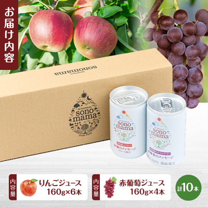 「sonomama」ミックス（160g×10本）