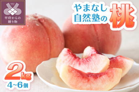 【2025年配送分】甲府市産自然塾の桃2kg