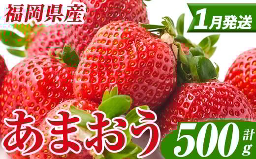 ＜先行予約受付中！2026年1月上旬以降順次発送予定＞ 福岡県産 あまおう (計500g・250g×2パック) いちご イチゴ 苺 ストロベリー 果物 フルーツ おやつ デザート スイーツ 福岡県 小分け アマオウ 1月発送 期間限定 数量限定 冷蔵 【エフビーネット】as47-003
