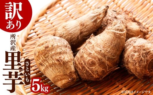 訳あり 里芋 5kg  | さといも サトイモ 芋 いも イモ 根菜 野菜 芋煮 煮物 煮込み 味噌汁 みそ汁 揚げ物 揚物 料理 鍋 和食 新鮮 掘りたて ねっとり 訳あり 国産 産地直送 季節限定 マル九農園 埼玉県 所沢市