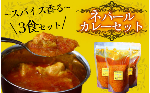 ティハールのネパールカレールーセット 2人分×3袋　【 カレー ネパールカレー カレールー カレーセット 手作り ヴィーガン アレンジ ジャスミン米 スパイス 手づくり セット 国産 レトルト 個包装 保存 贈り物 おすすめ 】　
