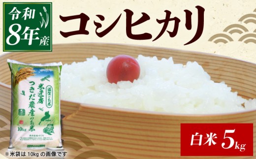 令和8年産 新米 コシヒカリ 白米 5kg ひこにゃん米 米 コメ お米 5キロ 米5kg ご飯 ごはん こしひかり おにぎり お弁当 滋賀 彦根