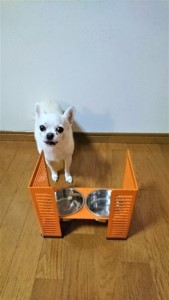 ペット食器台　Ｓ（小）ブラック　フードボール　犬　猫　ペット用品　4色展開　