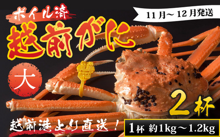 【先行予約】越前港より直送！ 越前がに 大 (約1kg～1.2kg) 2杯※発送前に在宅確認の電話連絡をいたします!【11月～12月発送予定】