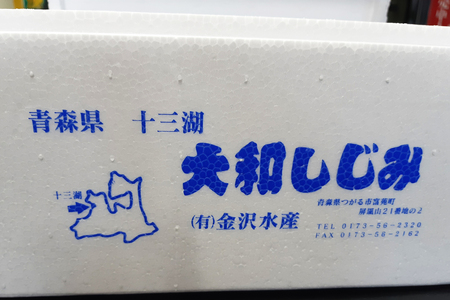 青森県十三湖産【冷凍】ヤマトシジミ 特大 1kg｜十三湖産 青森 津軽 つがる しじみ みそ汁 味噌汁 しじみ汁 [0554]