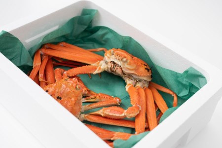 【令和7年11月以降発送】 冷凍 鼠ヶ関産ボイルズワイガニ (約400g)×2尾　鶴岡魚類株式会社　K-791